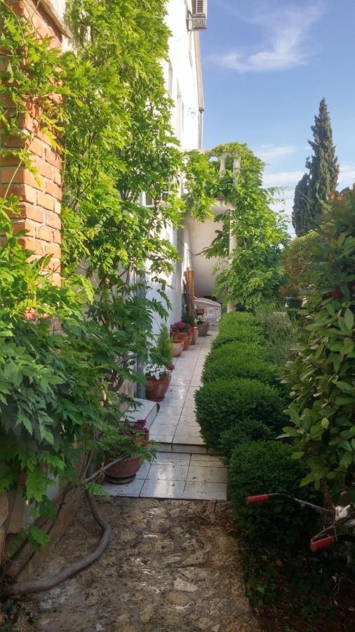 Apartment Jozefina Poreč Zewnętrze zdjęcie