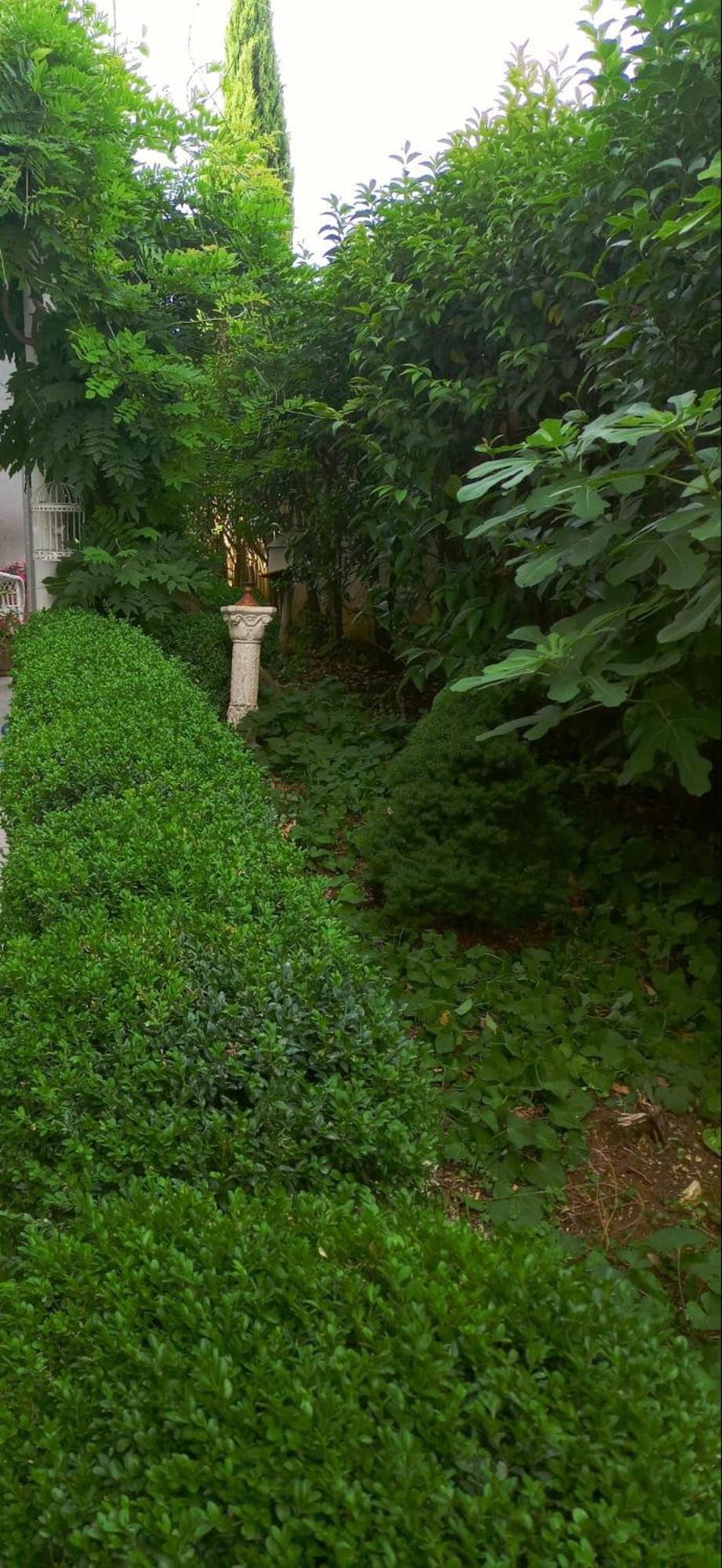Apartment Jozefina Poreč Zewnętrze zdjęcie
